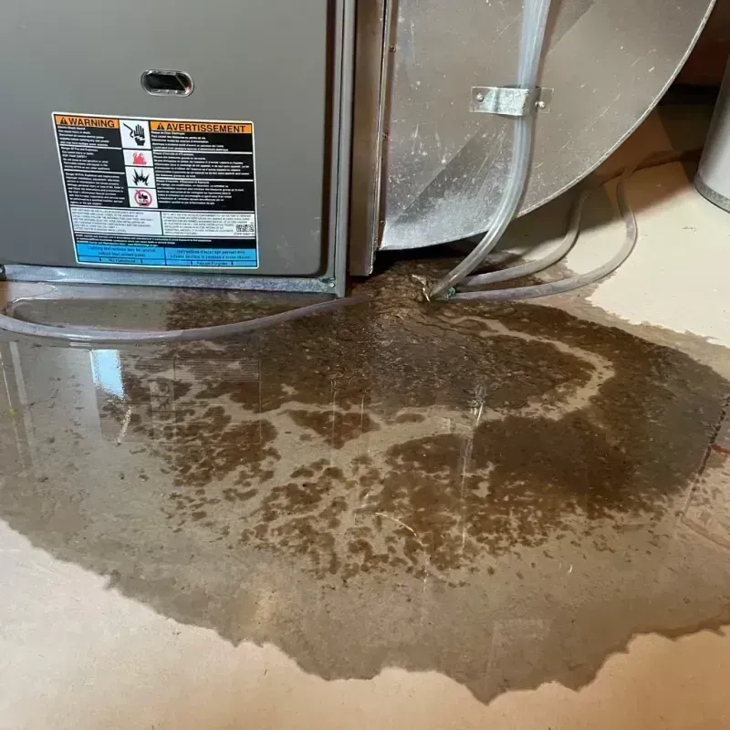 Appliance Leak Cleanup in Graves County, KY